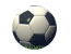 Sports Fundraiser logo