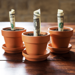Flower Fundraisers