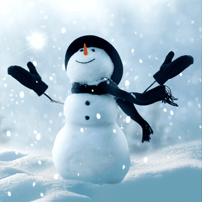 Seasonal Shoppers Fundraising